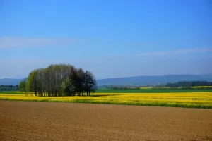 Jak bezpiecznie stosować środki ochrony roślin